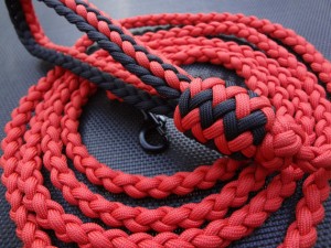 Paracord leash