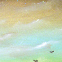 Featured! Artist Matt Hamblen
