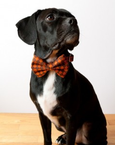 Dog Bow Tie Handmade - Etsy